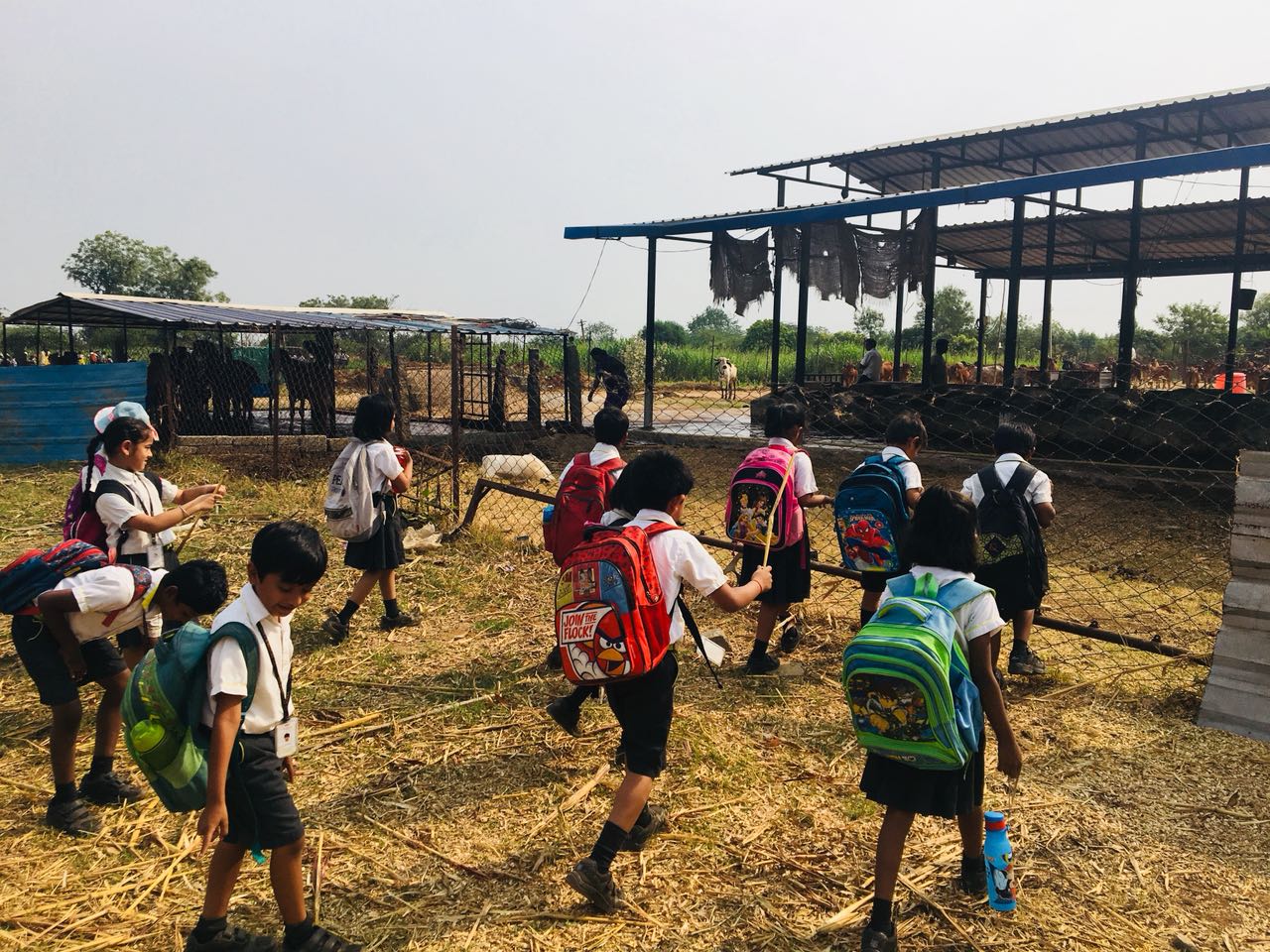 The Gaudium International School Hyderabad Farm Trip 2018 3