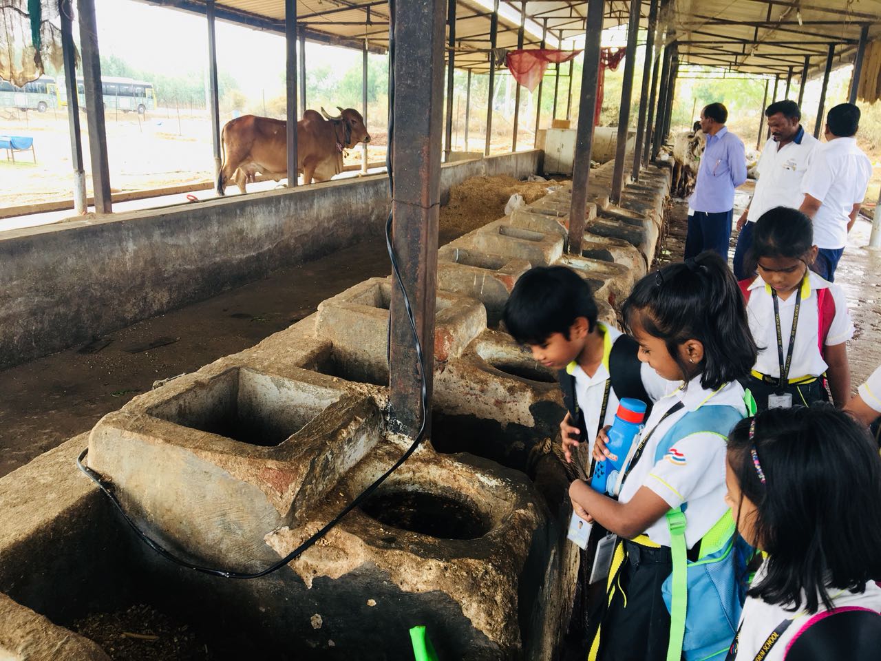 school visit to farm