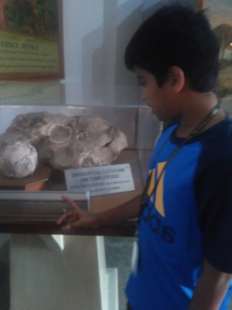 The Gaudium International School Hyderabad Birla Museum Visit 2018 08 4