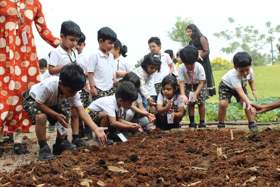 The Gaudium International School Hyderabad Seed Sowing 2018 2
