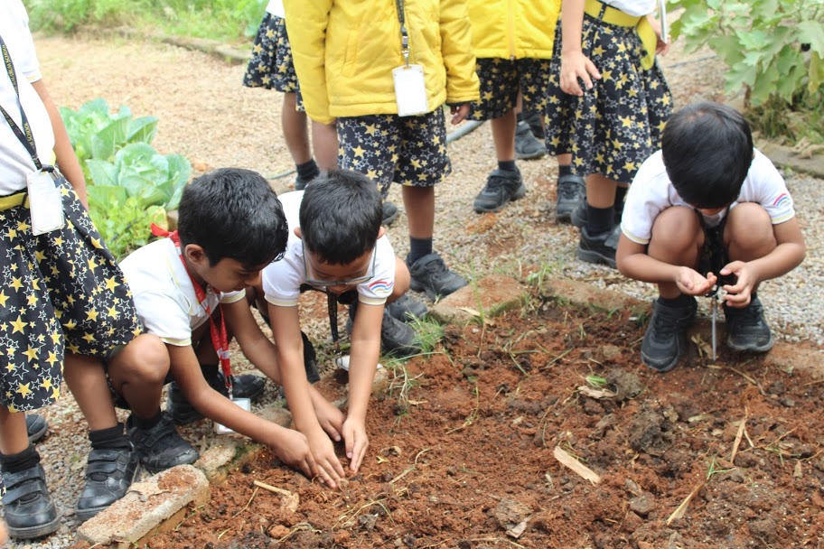 The Gaudium International School Hyderabad Seed Sowing 2018 3