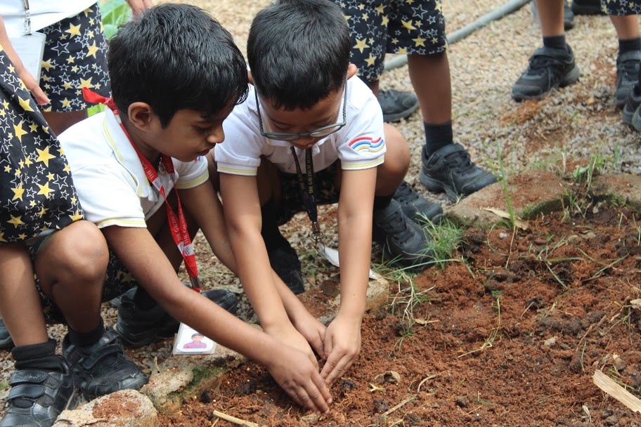The Gaudium International School Hyderabad Seed Sowing 2018 4