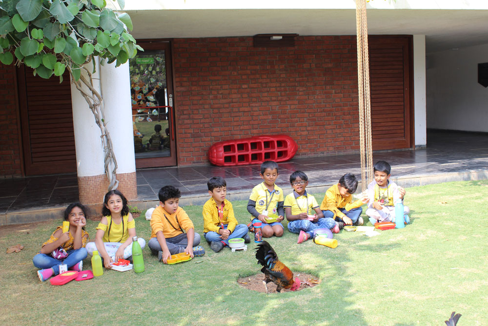 The Gaudium International School Hyderabad Yellow Day 2019 5
