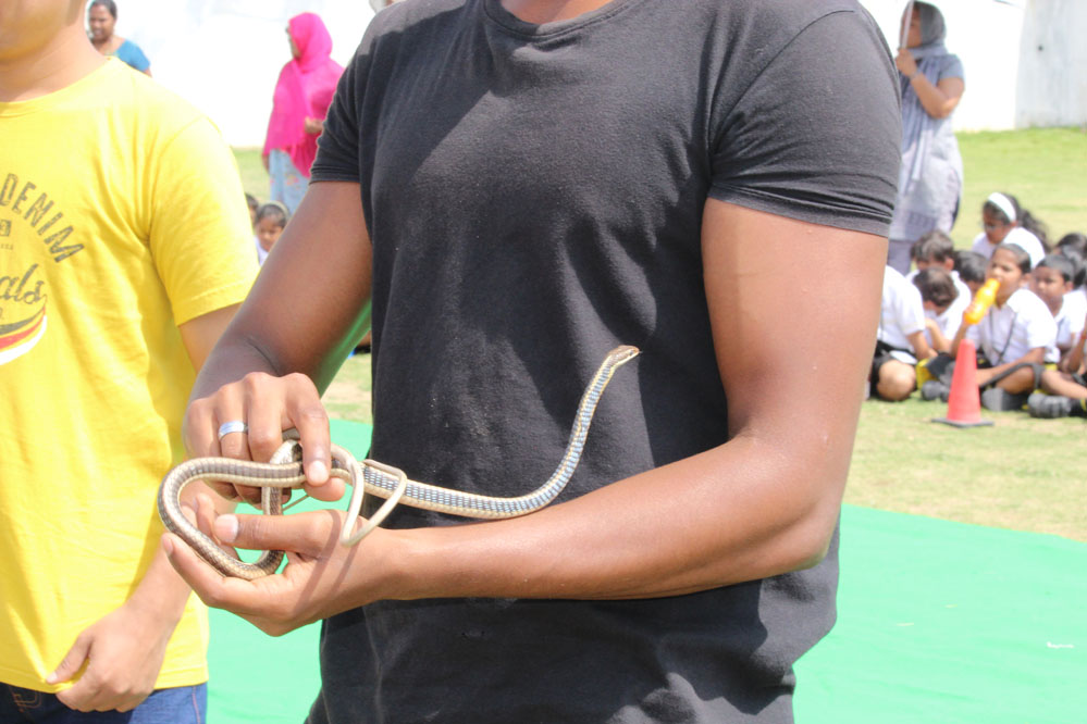 The Gaudium International School Hyderabad World Snake Day 2019 3