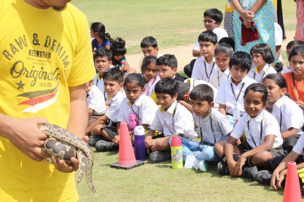 The Gaudium International School Hyderabad World Snake Day 2019 4