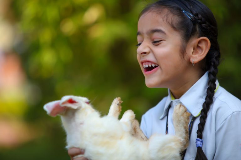 The Gaudium International School In Hyderabad Gallery 2018 01 40 768x512 1