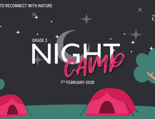 A Night of Discovery: Grade 3 Night Camp