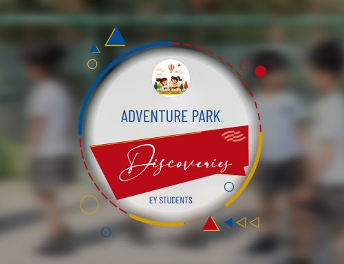 Beyond the Classroom: Cultivating Curiosity and Courage at the Adventure Park
